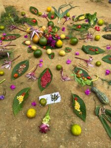 Que en estas fechas especiales nunca falte el alimento en los hogares y que abunden los frutos de amor y paz Feliz Navidad y Próspero 2022