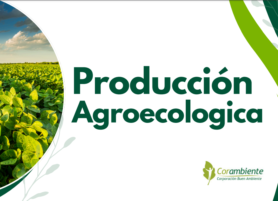 Producción agroecológica