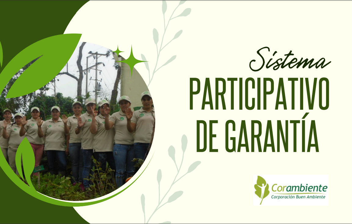 Sistema participativo de garantía