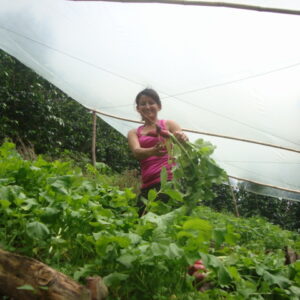 Techo Productivo (5B)