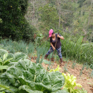 Fuerza de mujer campesina Santandereana.