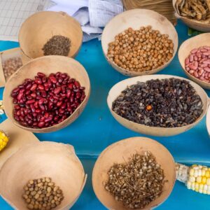 Semillas criollas y nativas para el buen vivir