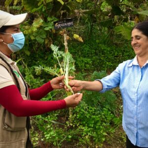 custodias-de-semillas-para-nuestra-soberania