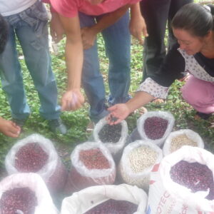 Intercambio-de-semillas