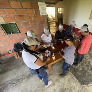 Estudio participativo del suelo: cromatografía en manos campesinas